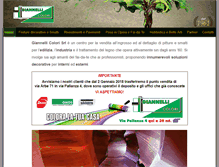 Tablet Screenshot of giannellicolori.com